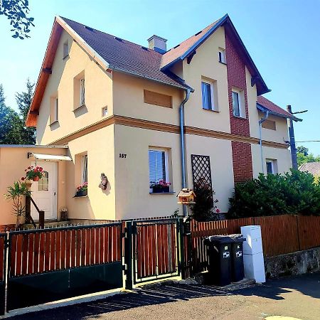 Ubytovani U Rybnicka Villa Arnoltice u Decina Kültér fotó