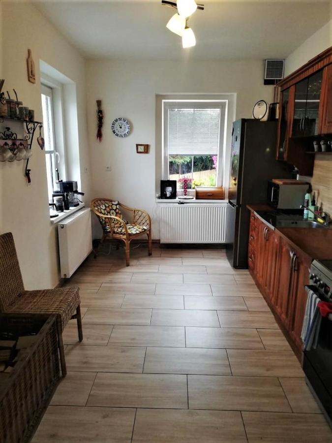 Ubytovani U Rybnicka Villa Arnoltice u Decina Kültér fotó