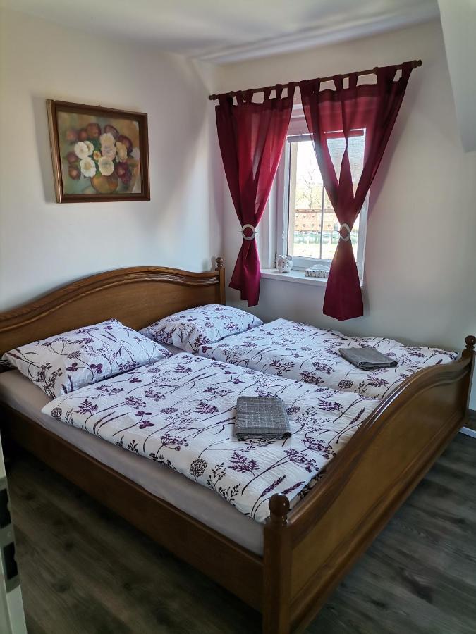 Ubytovani U Rybnicka Villa Arnoltice u Decina Kültér fotó