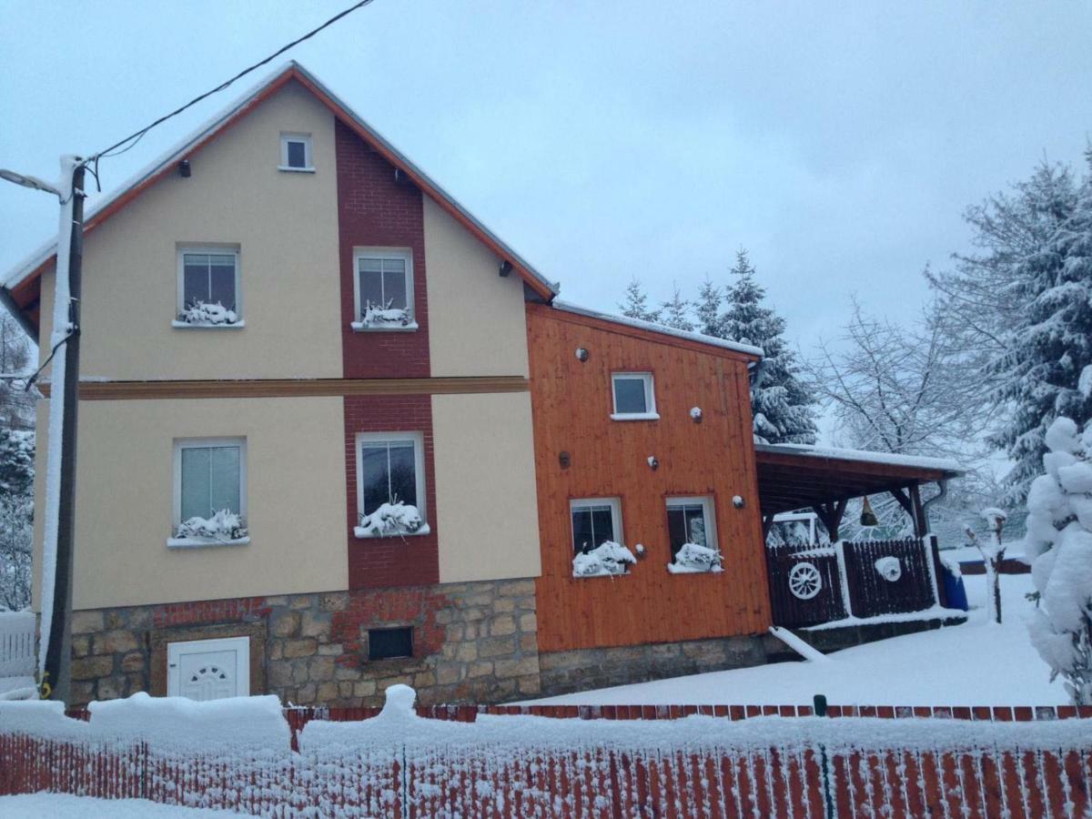 Ubytovani U Rybnicka Villa Arnoltice u Decina Kültér fotó