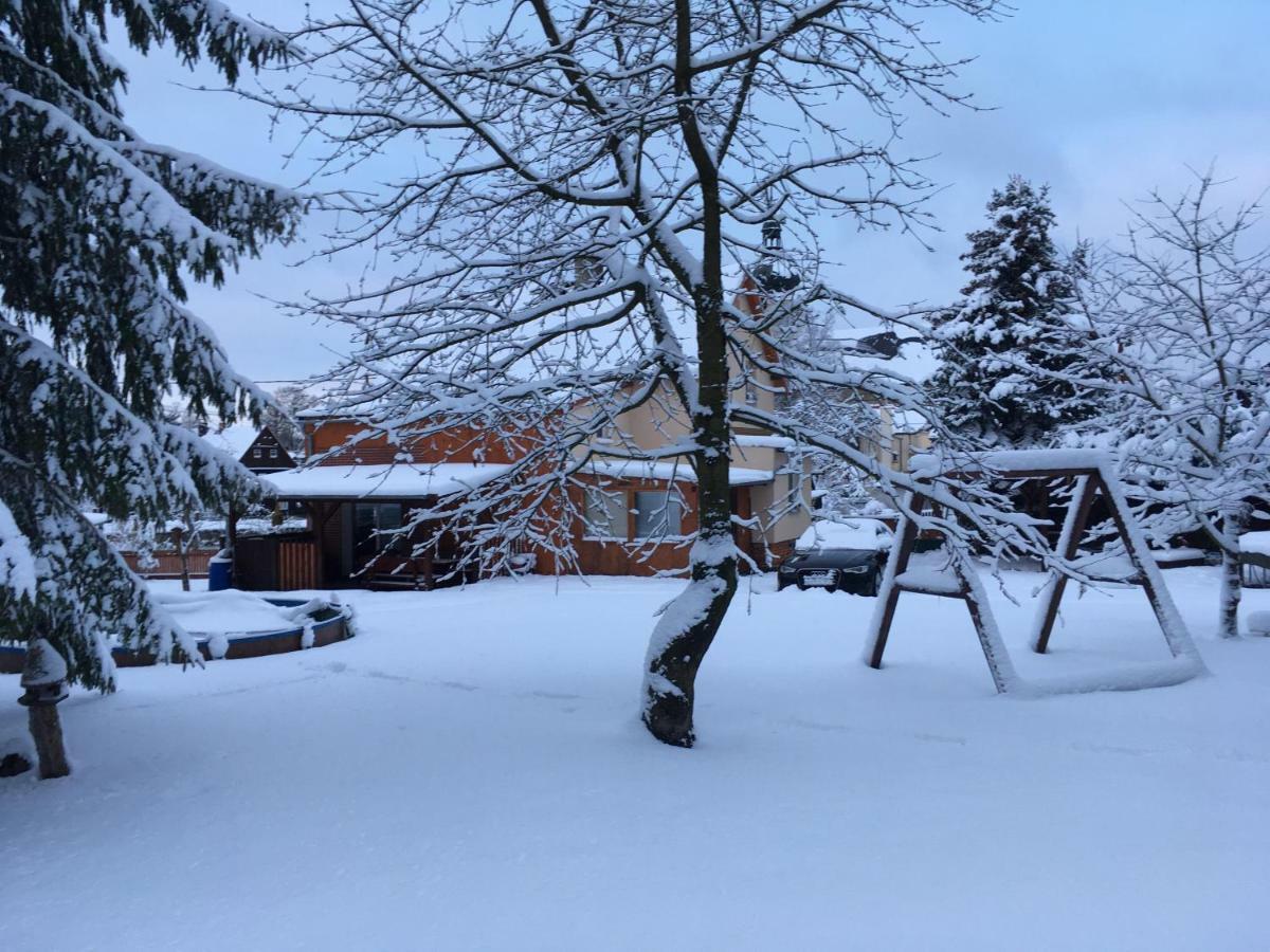 Ubytovani U Rybnicka Villa Arnoltice u Decina Kültér fotó