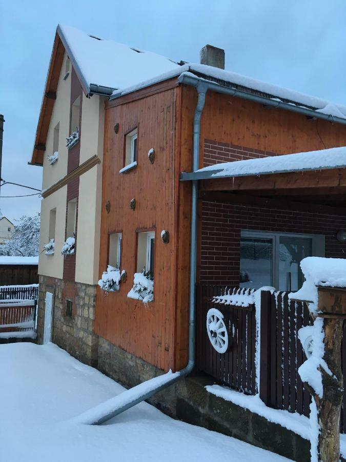 Ubytovani U Rybnicka Villa Arnoltice u Decina Kültér fotó